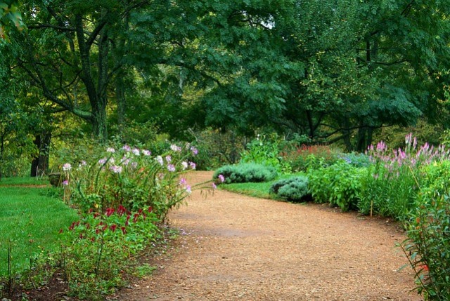 découvrez les meilleurs matériaux pour créer une allée de jardin esthétique et durable. conseils, idées et comparatif pour choisir le revêtement idéal selon vos besoins.